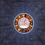 andrew bird